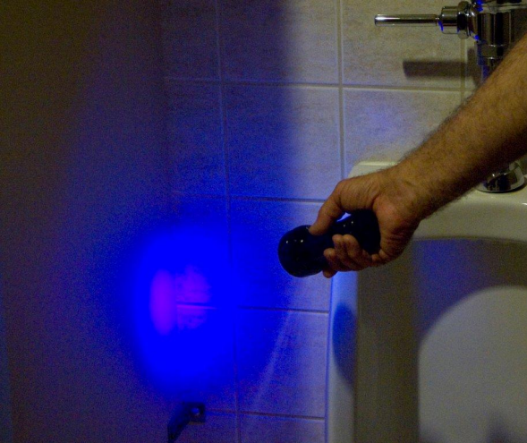 LUYOR-3260A紫外线黑光灯照射体液