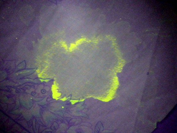 LUYOR-3260A紫外线黑光灯照射体液