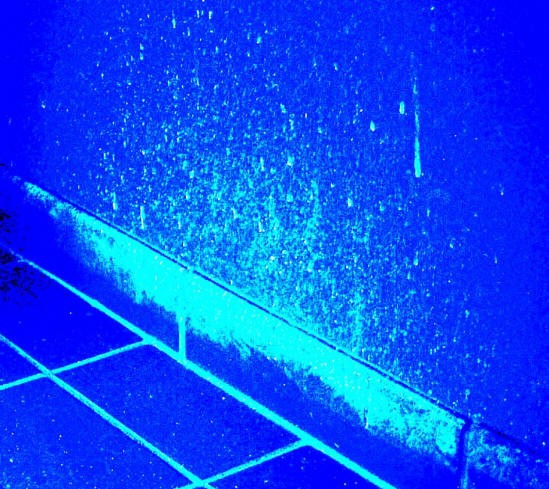 LUYOR-3260A紫外线黑光灯照射体液