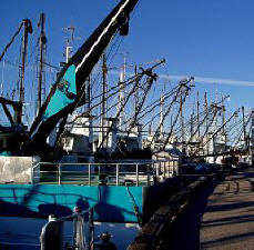 Liquid Intelligence Stop Oil Leak Seal Expander Hydraulic Steering  and Lift Arm