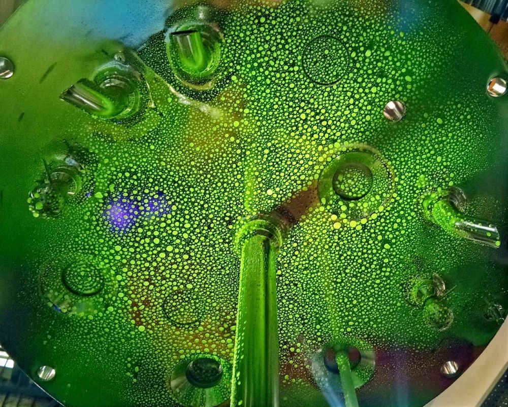 核黄素喷淋测试